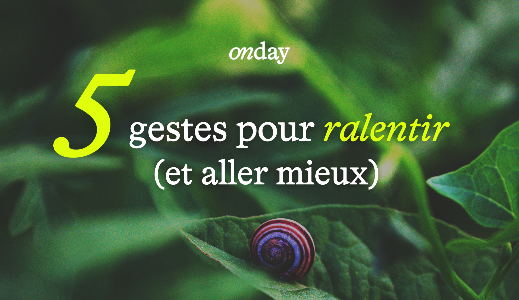 Ralentir pour se sentir mieux 🌿