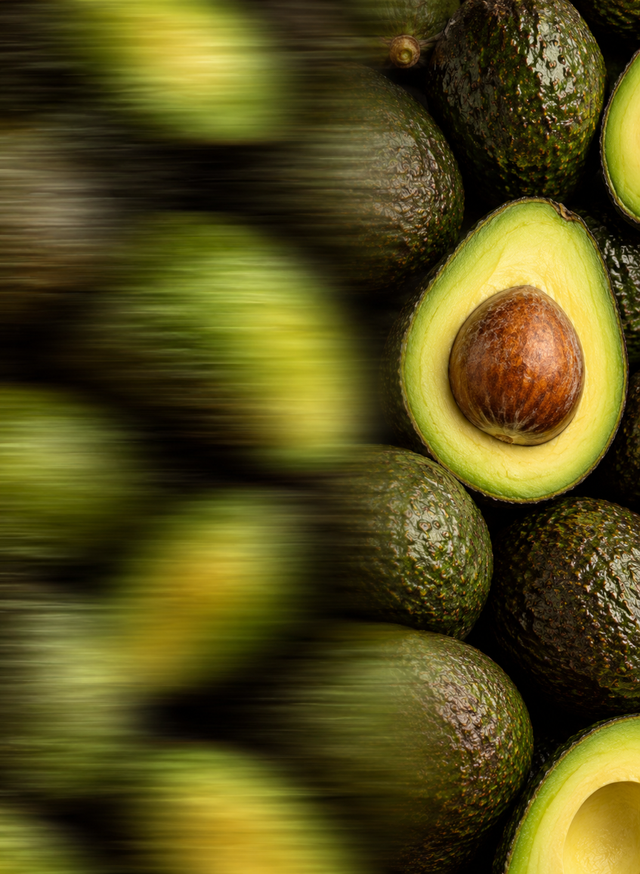 avocat