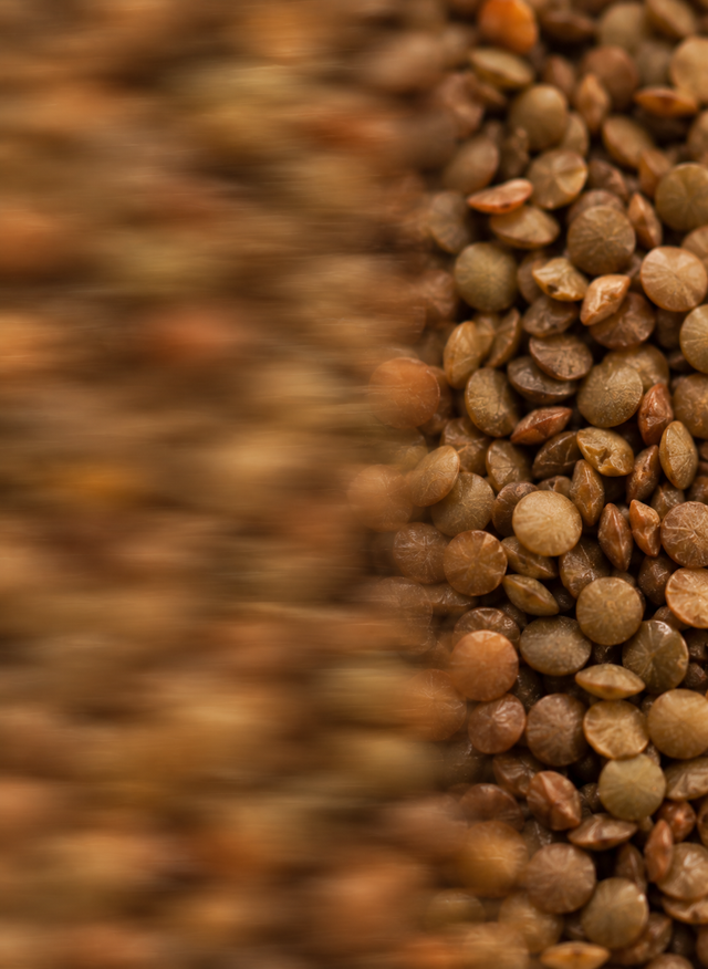 bol de lentilles