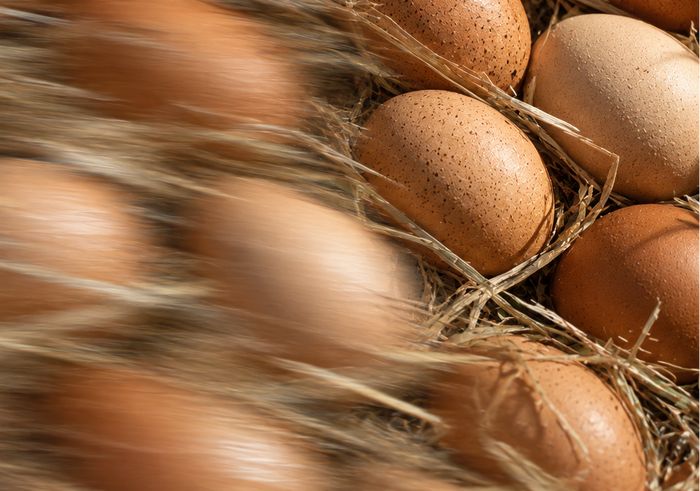 oeufs
